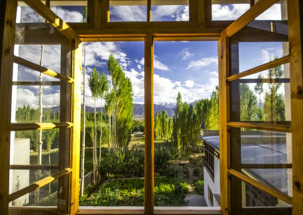 Cost of Wood Window Replacement in La Crosse