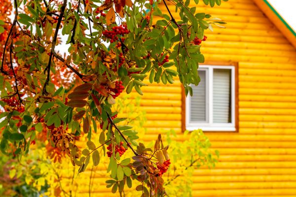Cost of Garden Window Replacement in La Crosse